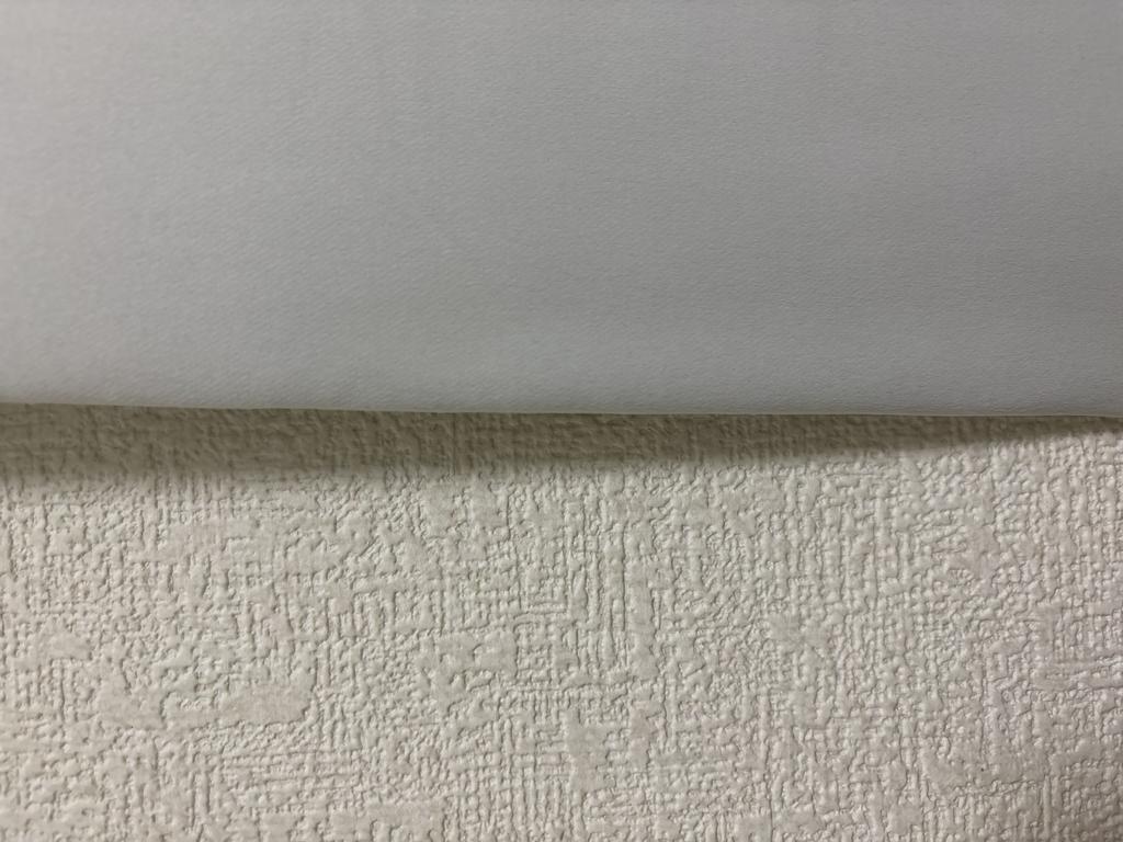 レビュー写真