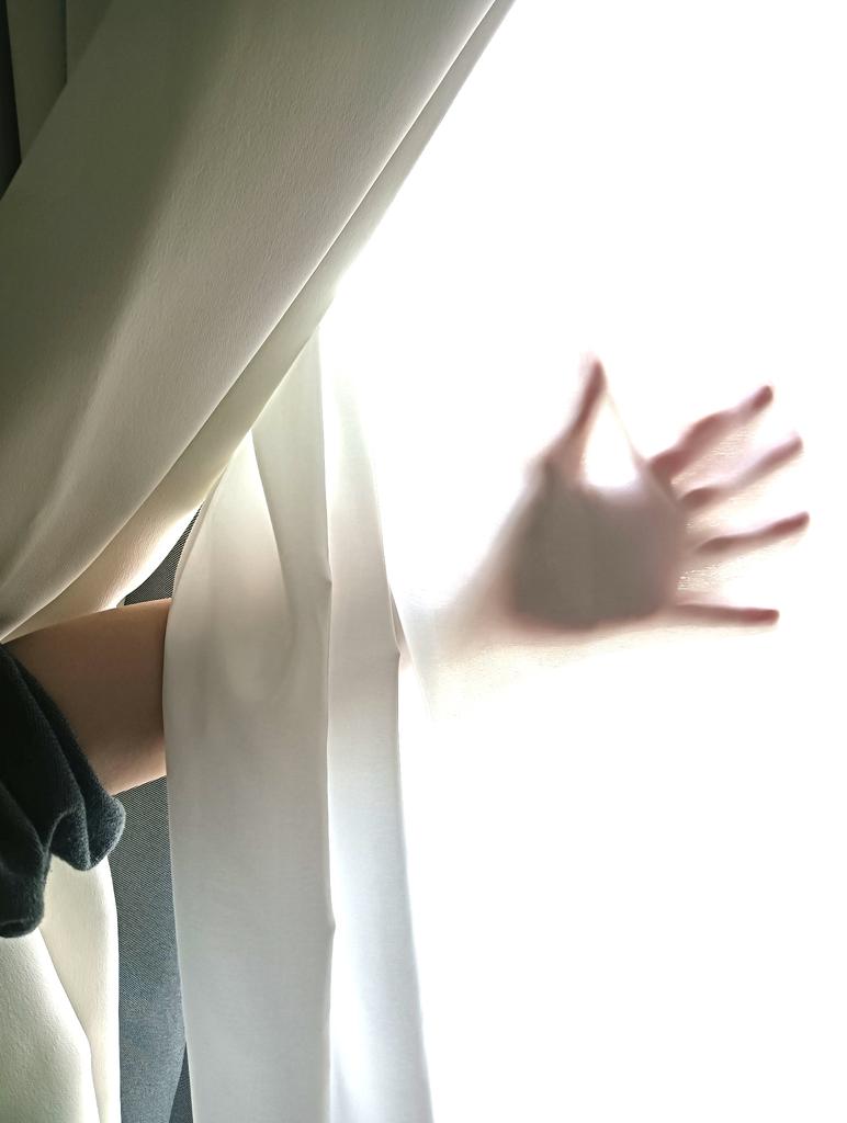 レビュー写真