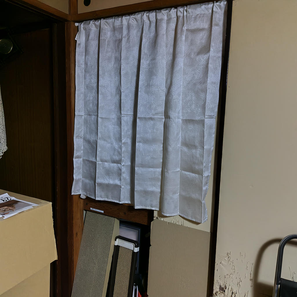 レビュー写真