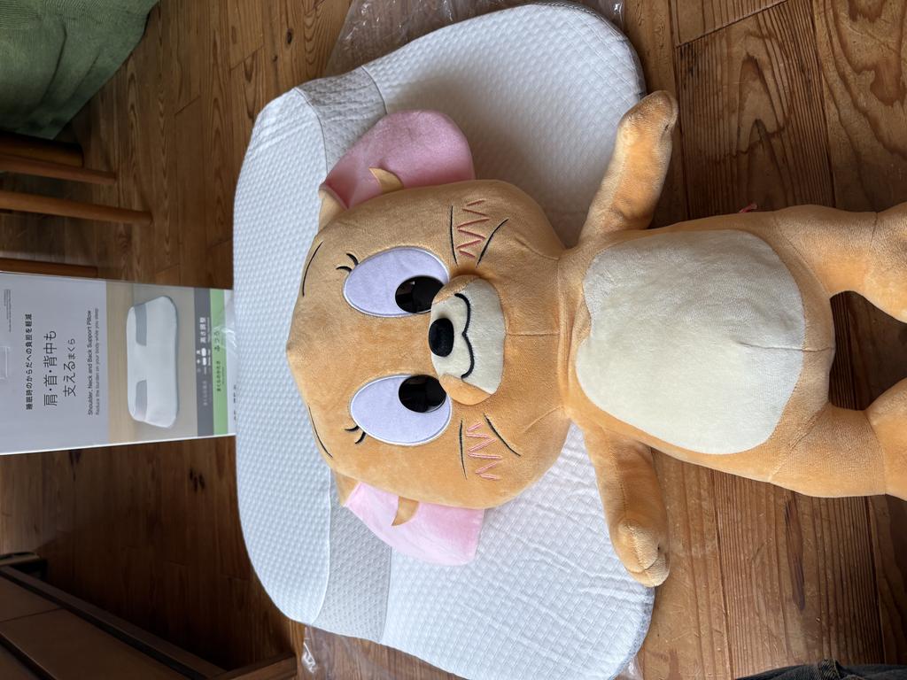 レビュー写真