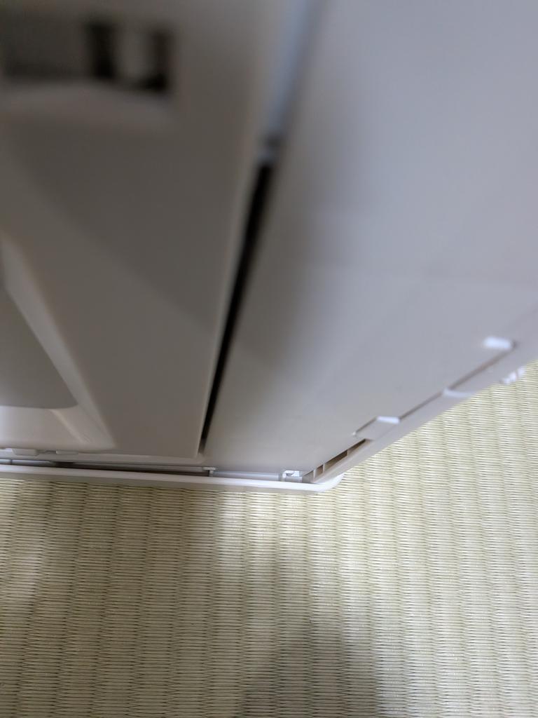 レビュー写真