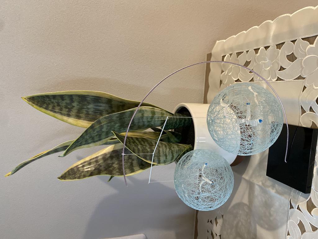 レビュー写真
