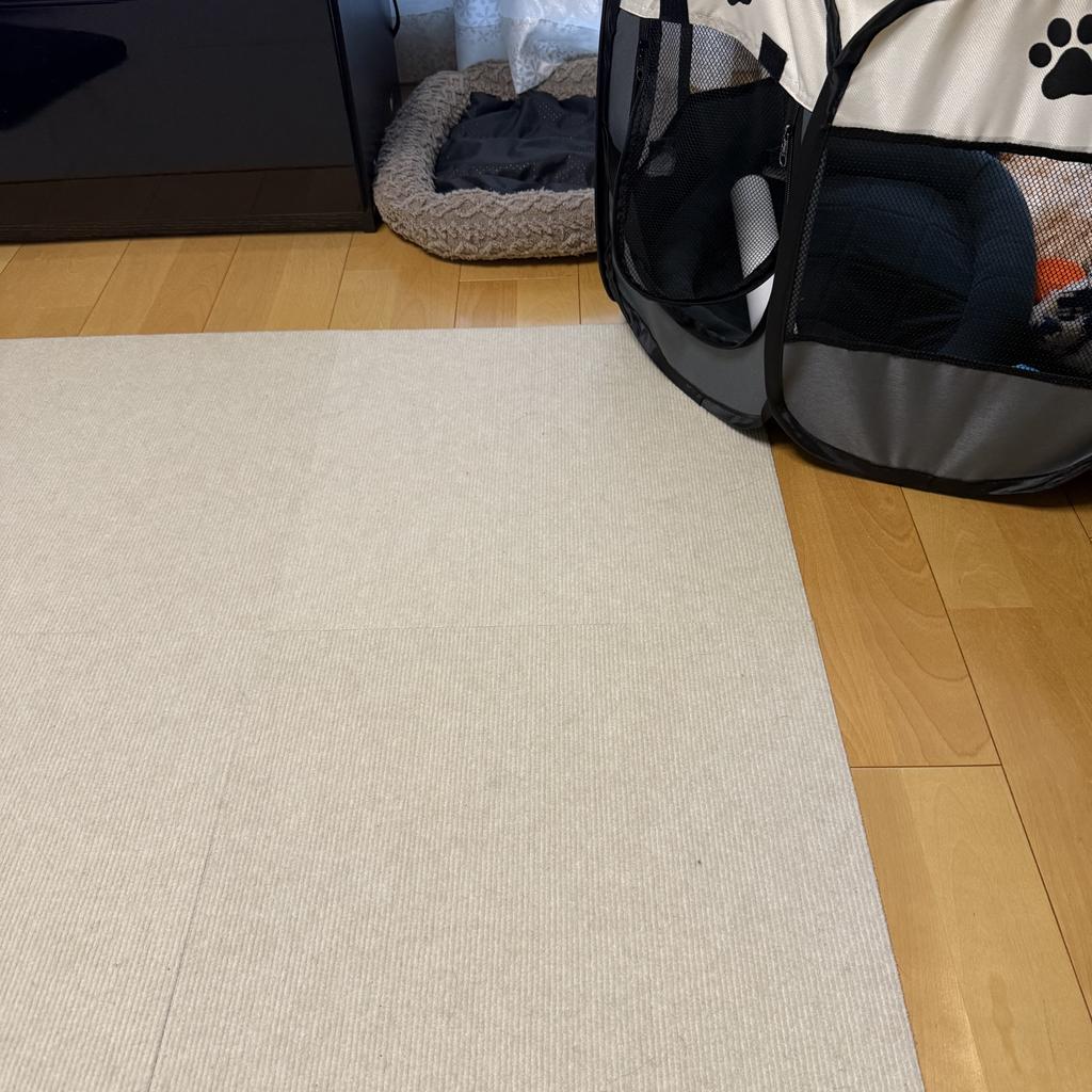 レビュー写真