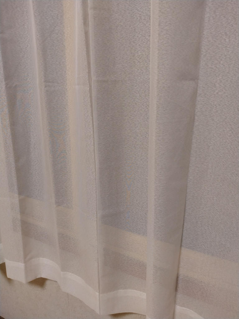 レビュー写真
