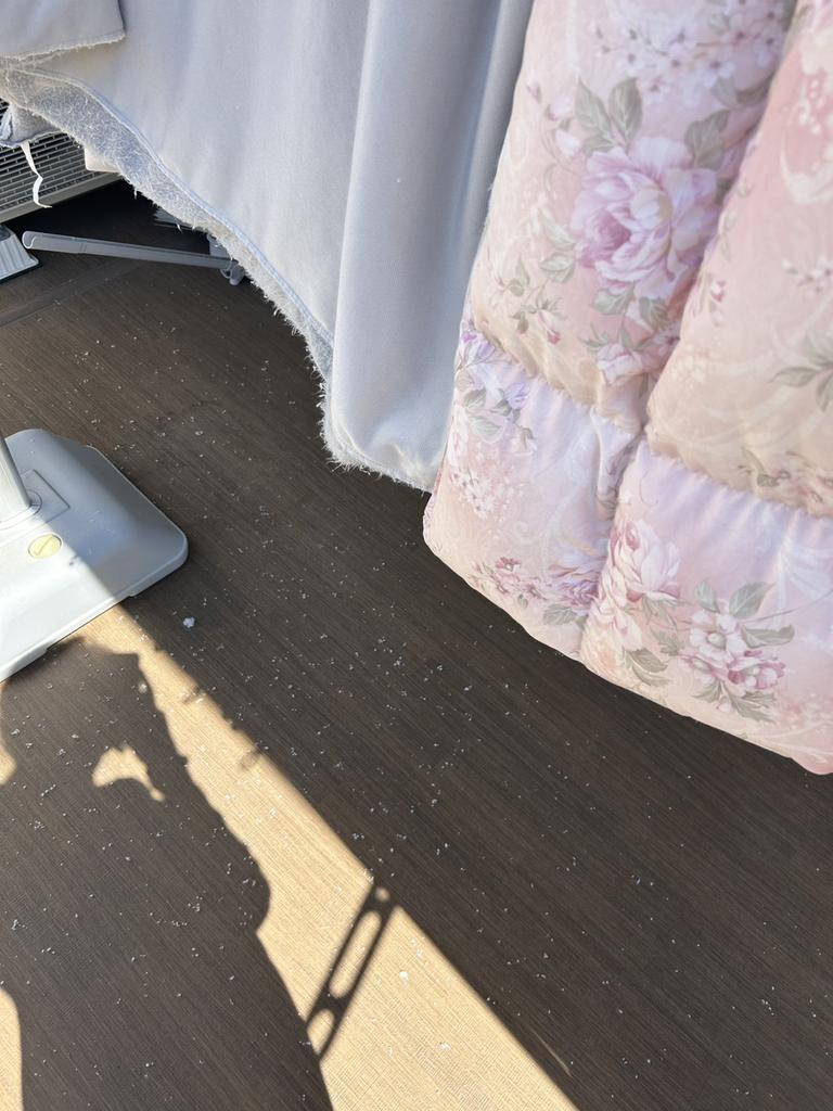 レビュー写真