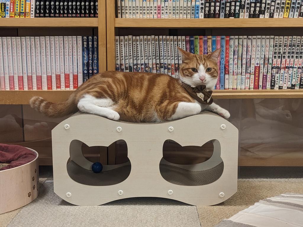 レビュー写真