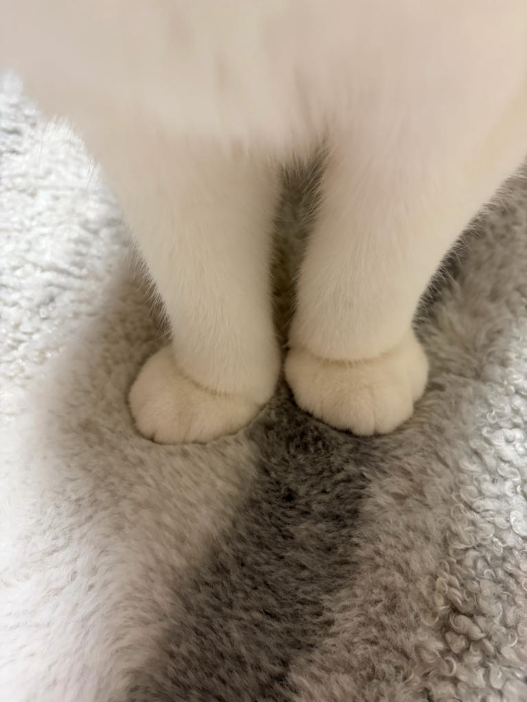 レビュー写真