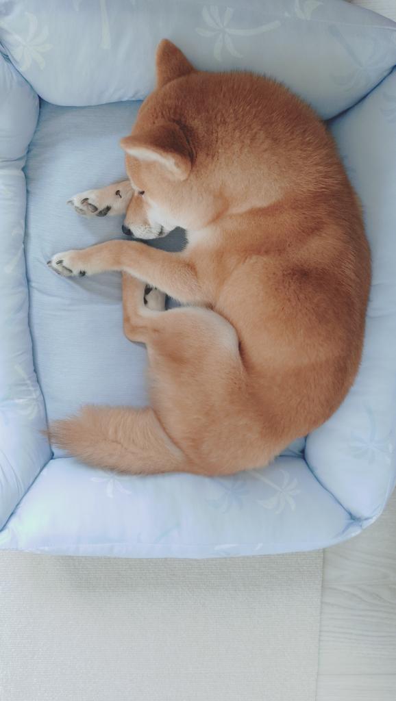 レビュー写真
