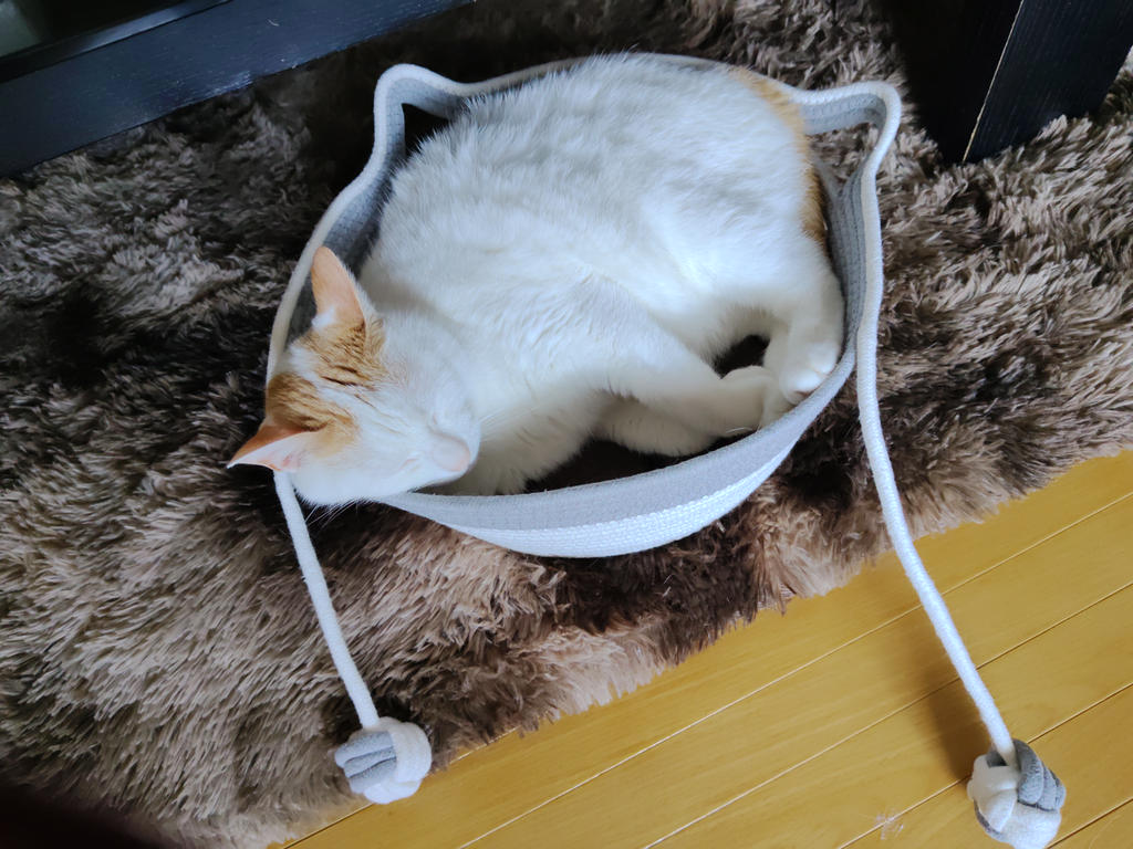 レビュー写真