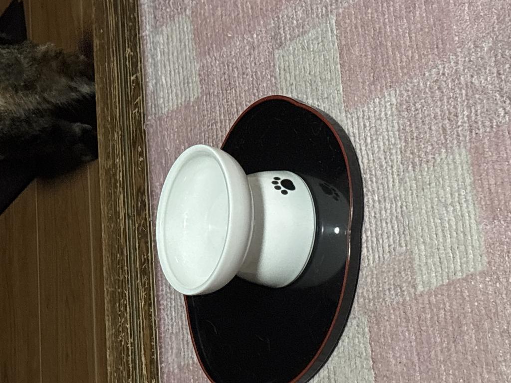 レビュー写真