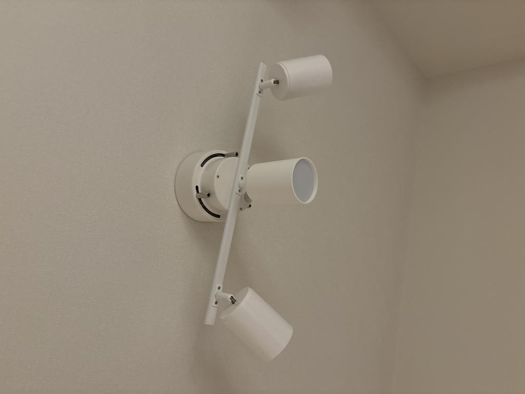 レビュー写真