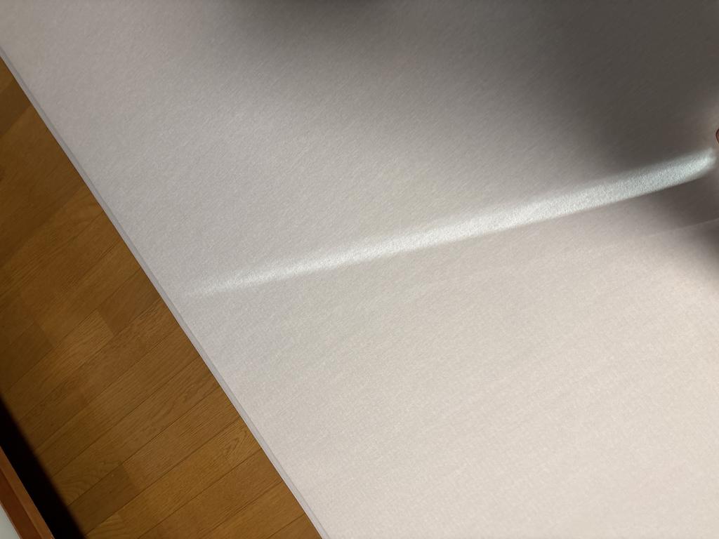 レビュー写真