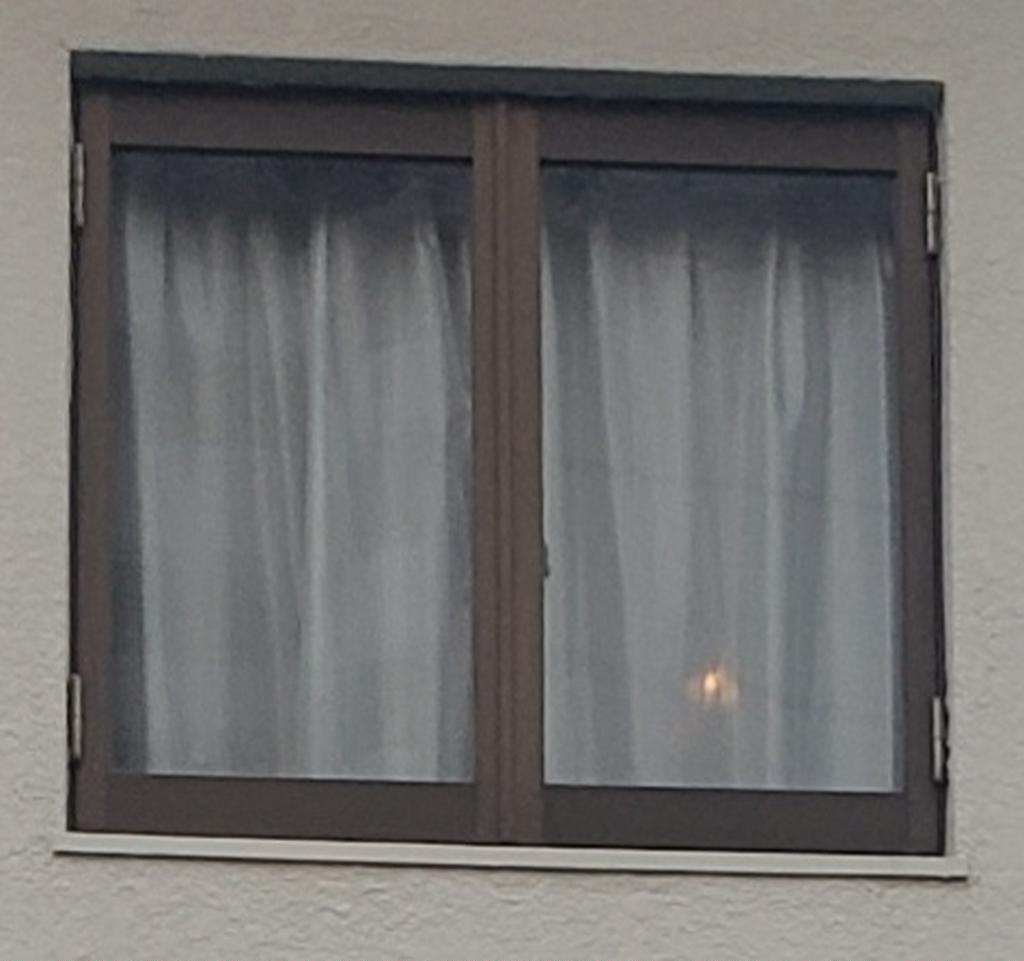 レビュー写真