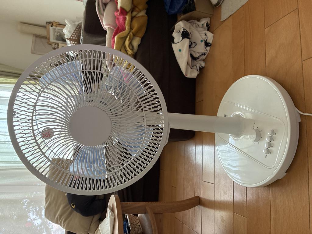 レビュー写真