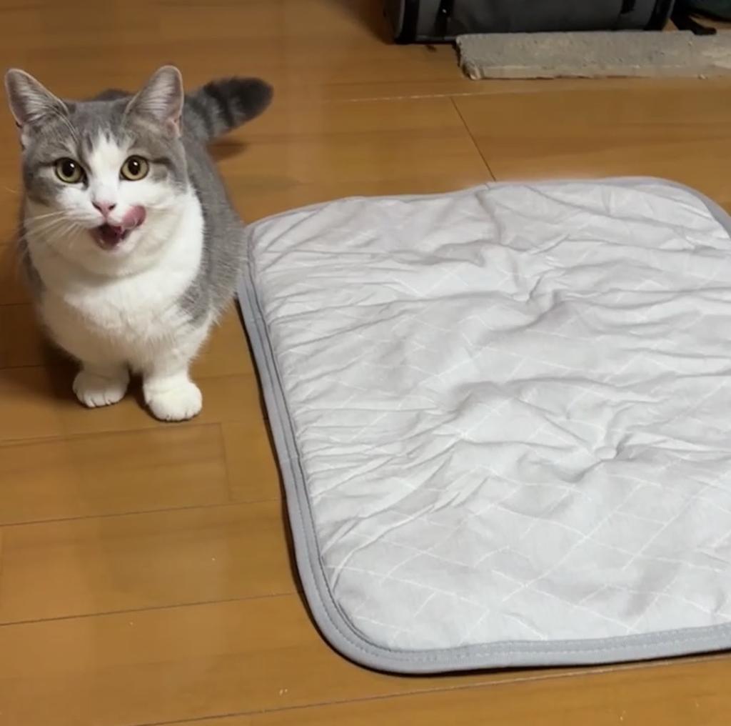 レビュー写真