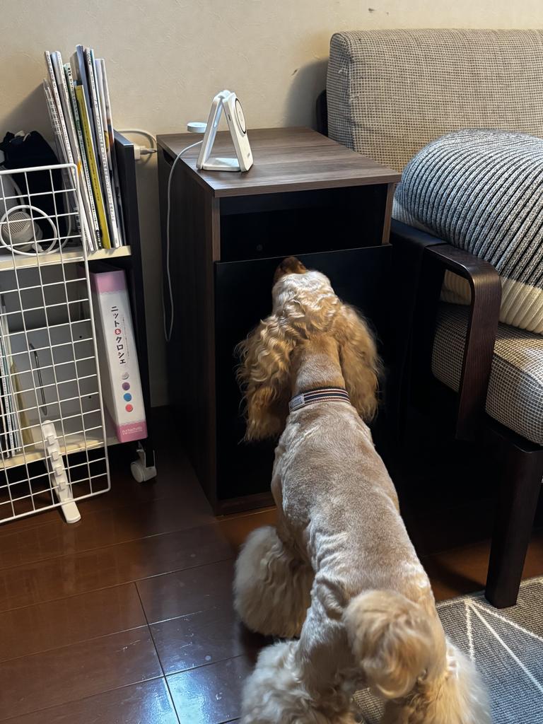 レビュー写真