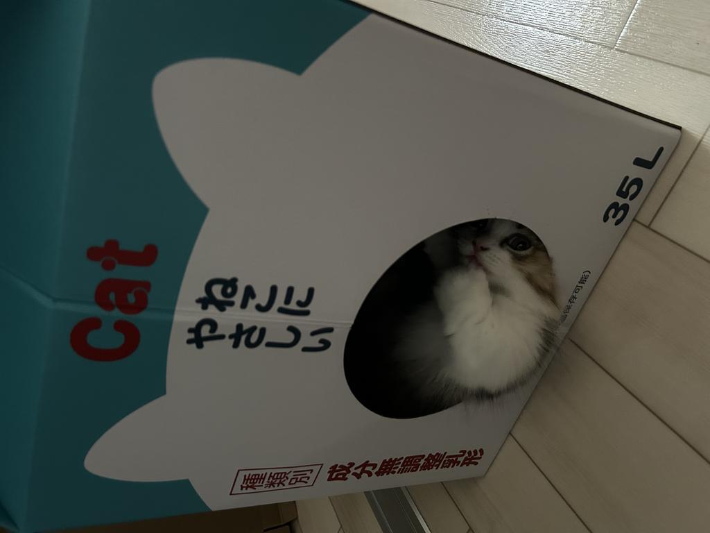 レビュー写真