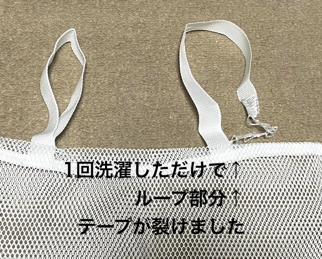 レビュー写真