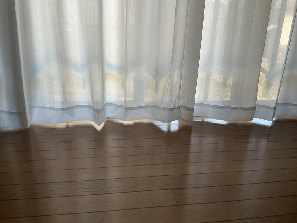 レビュー写真