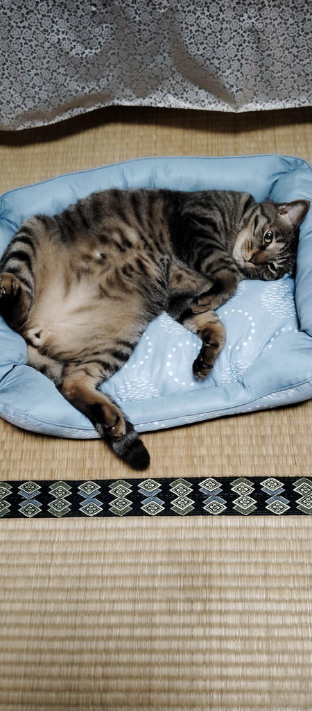 レビュー写真