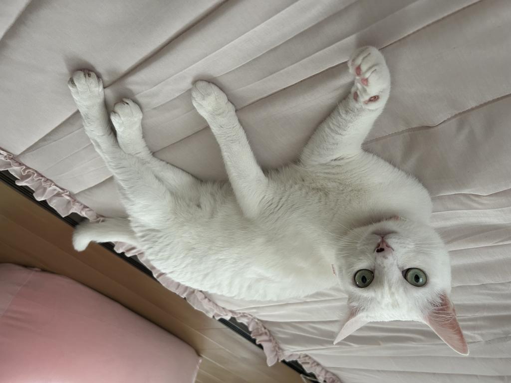 レビュー写真