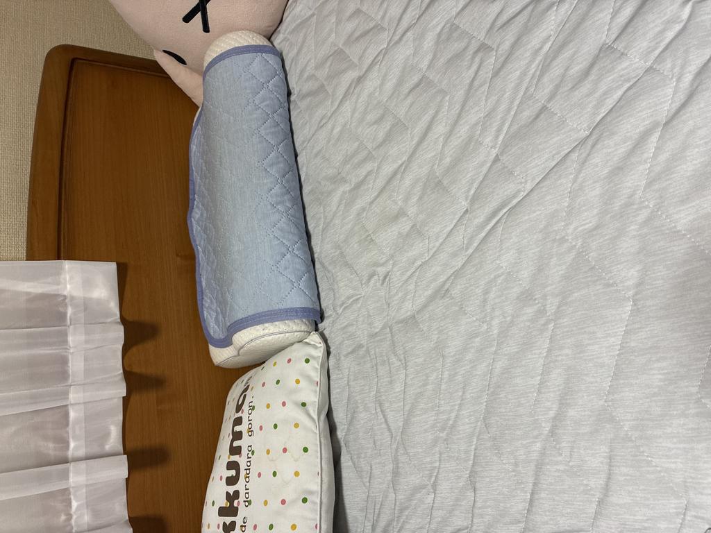 レビュー写真