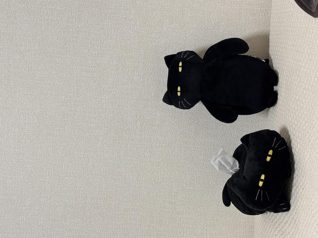 レビュー写真