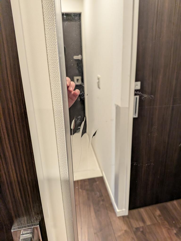 レビュー写真