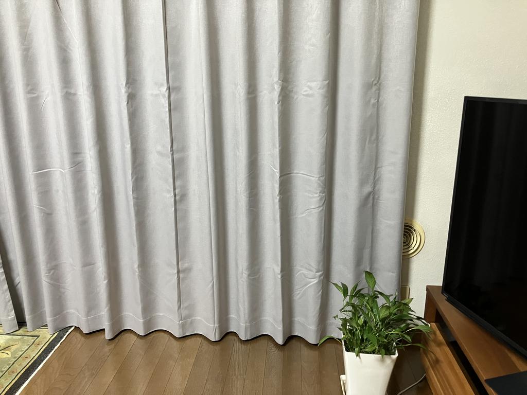レビュー写真