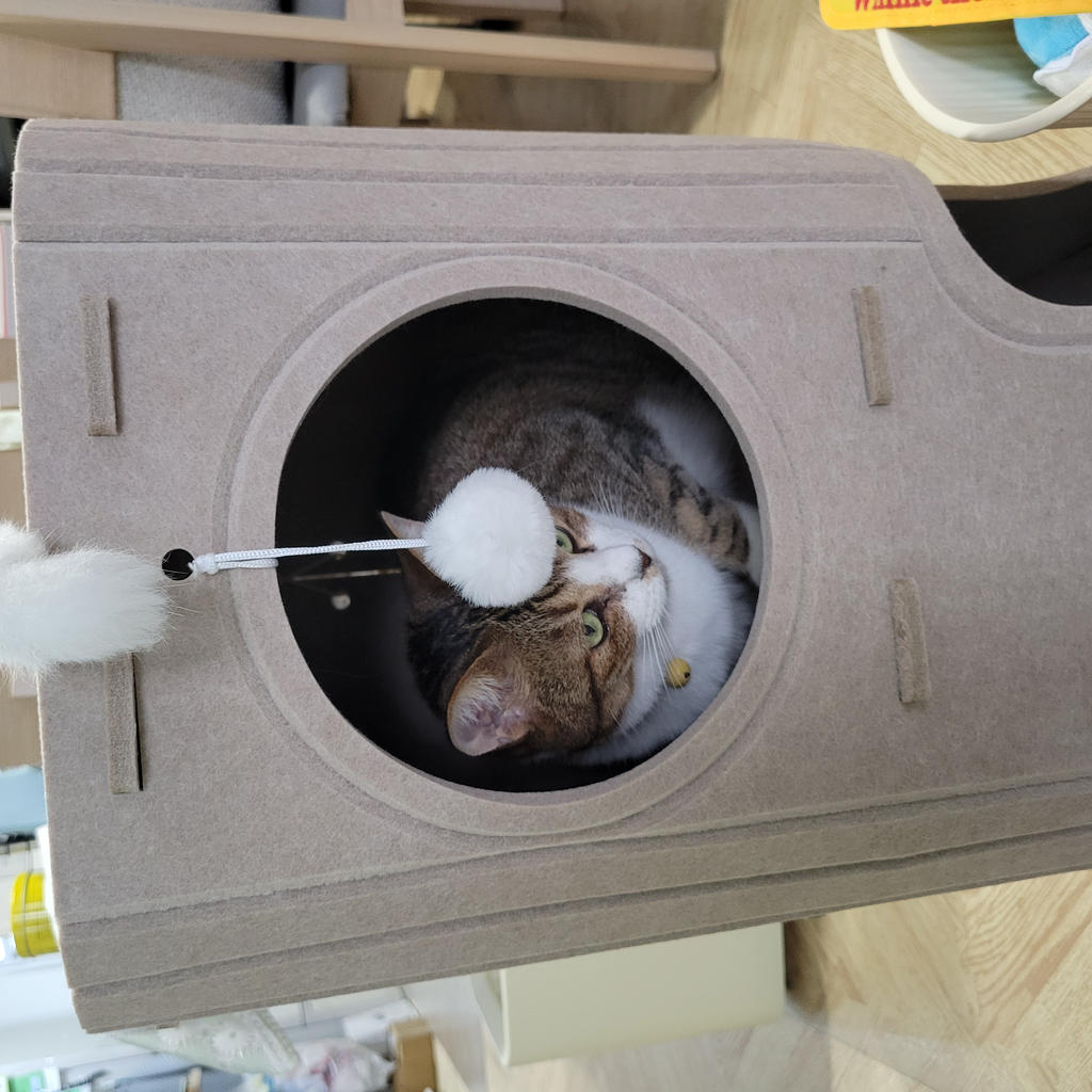 レビュー写真