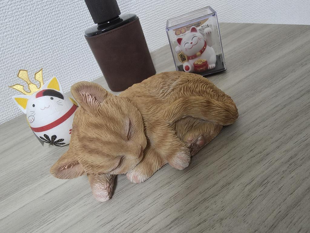 レビュー写真