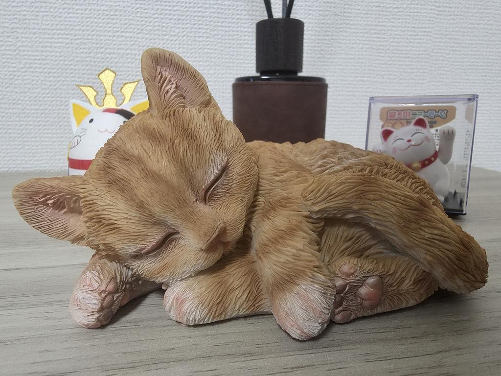 レビュー写真