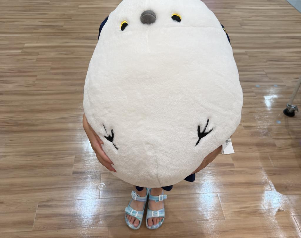レビュー写真