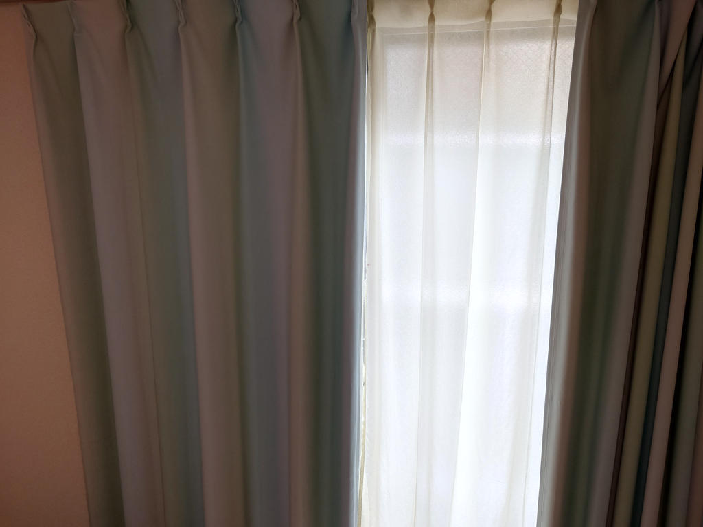 レビュー写真