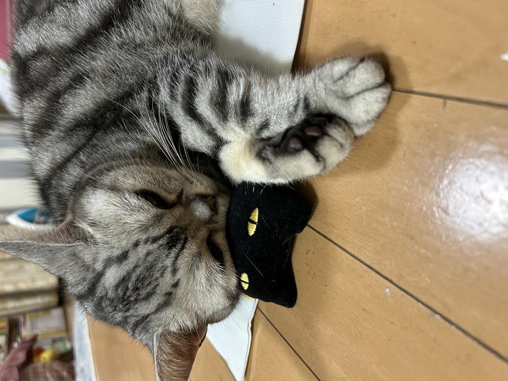 レビュー写真