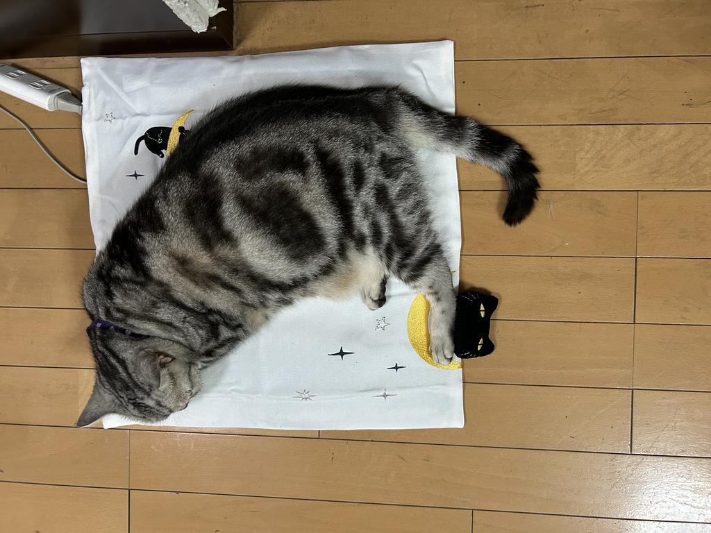 レビュー写真