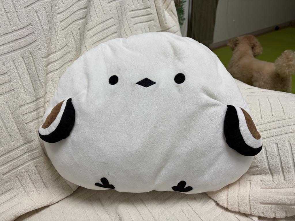 レビュー写真