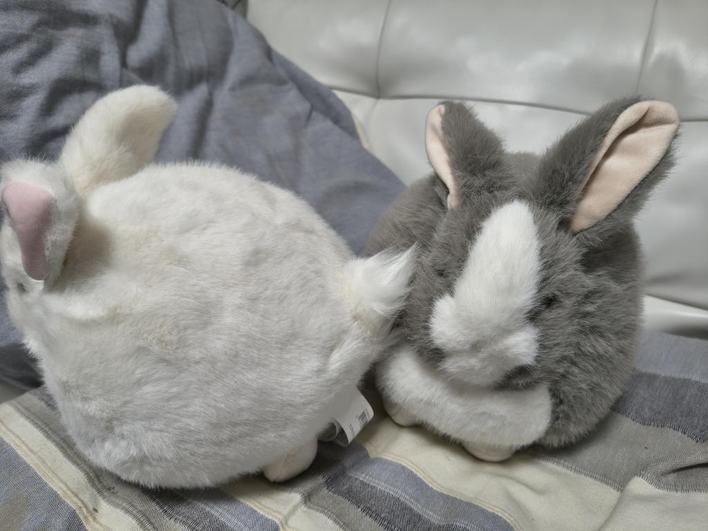 レビュー写真