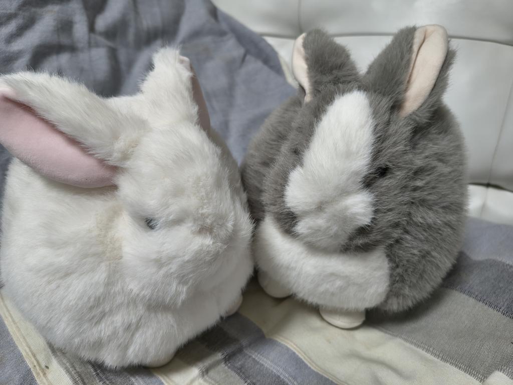 レビュー写真