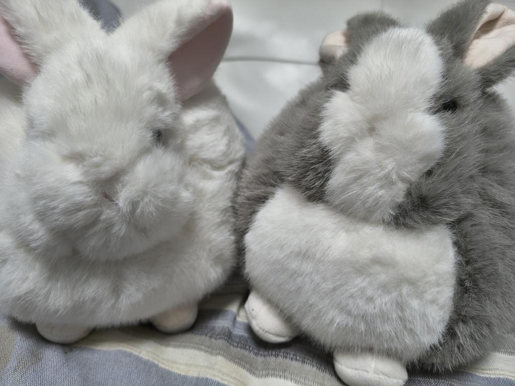 レビュー写真