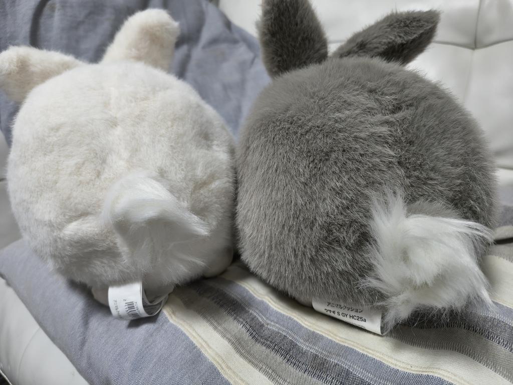 レビュー写真