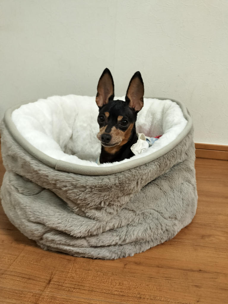 レビュー写真