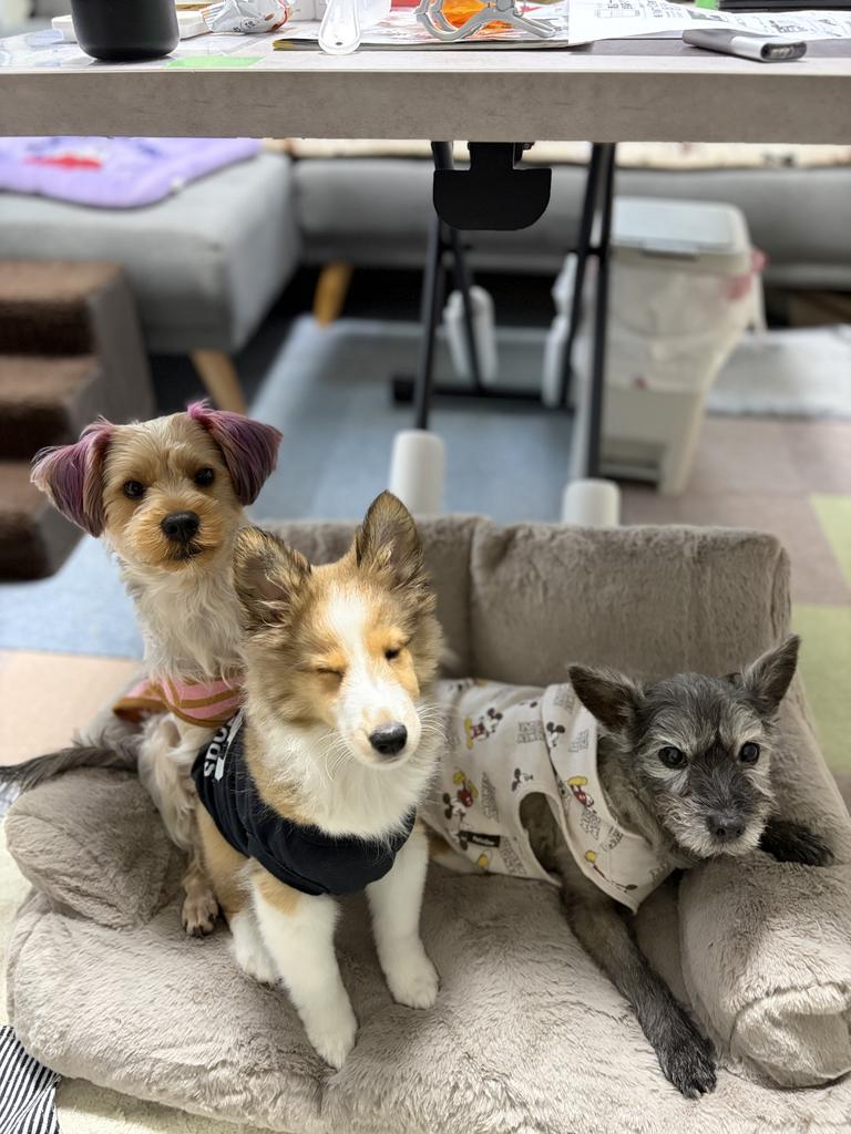 レビュー写真