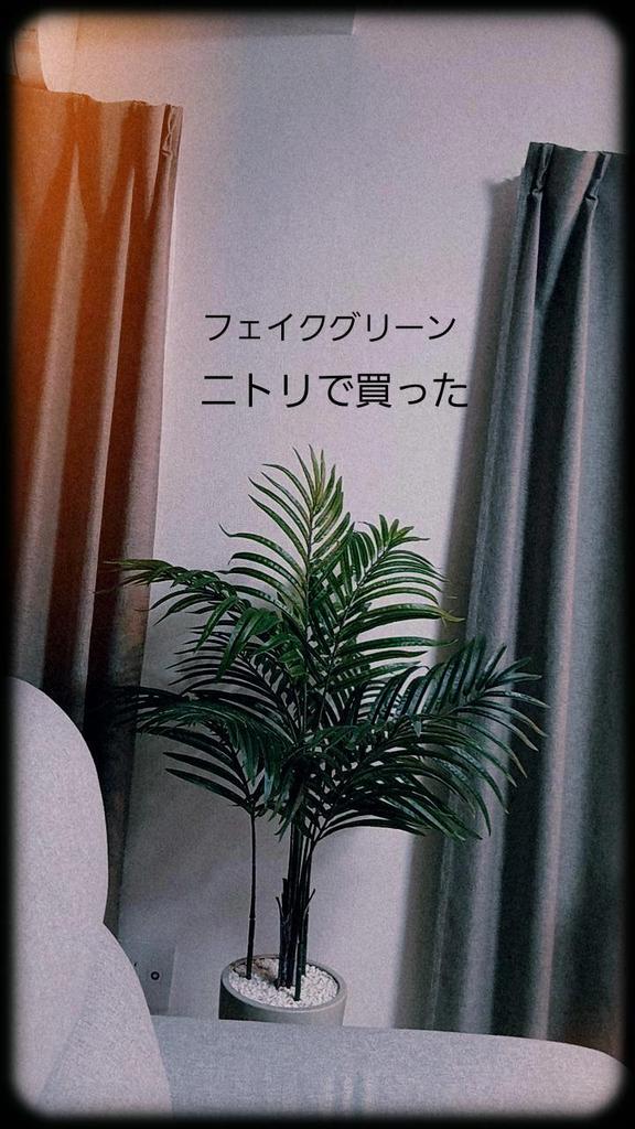 レビュー写真