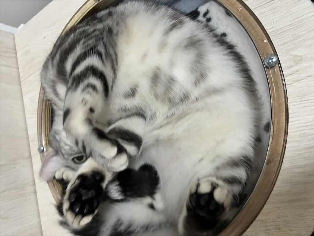 レビュー写真