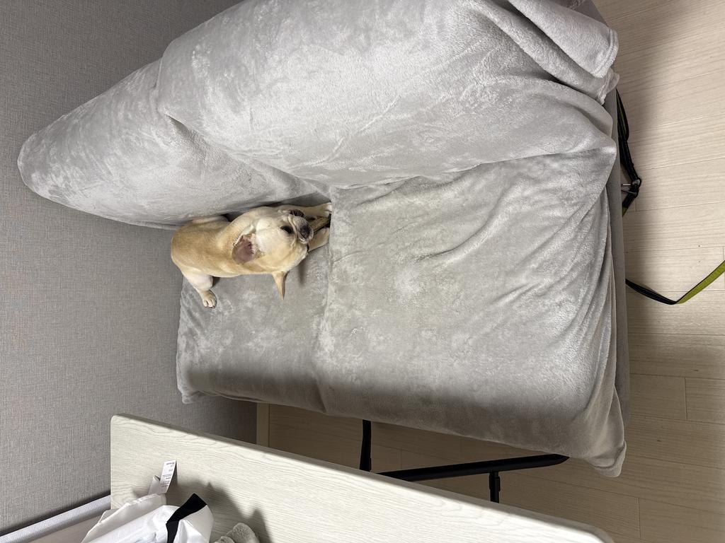 レビュー写真