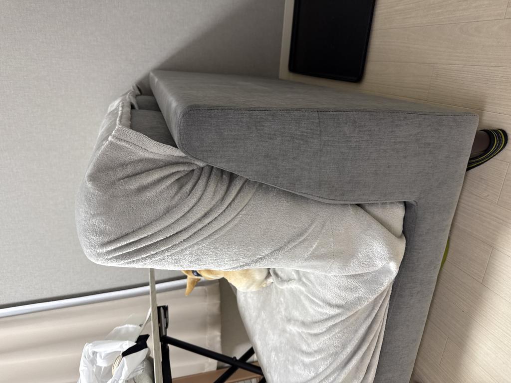 レビュー写真