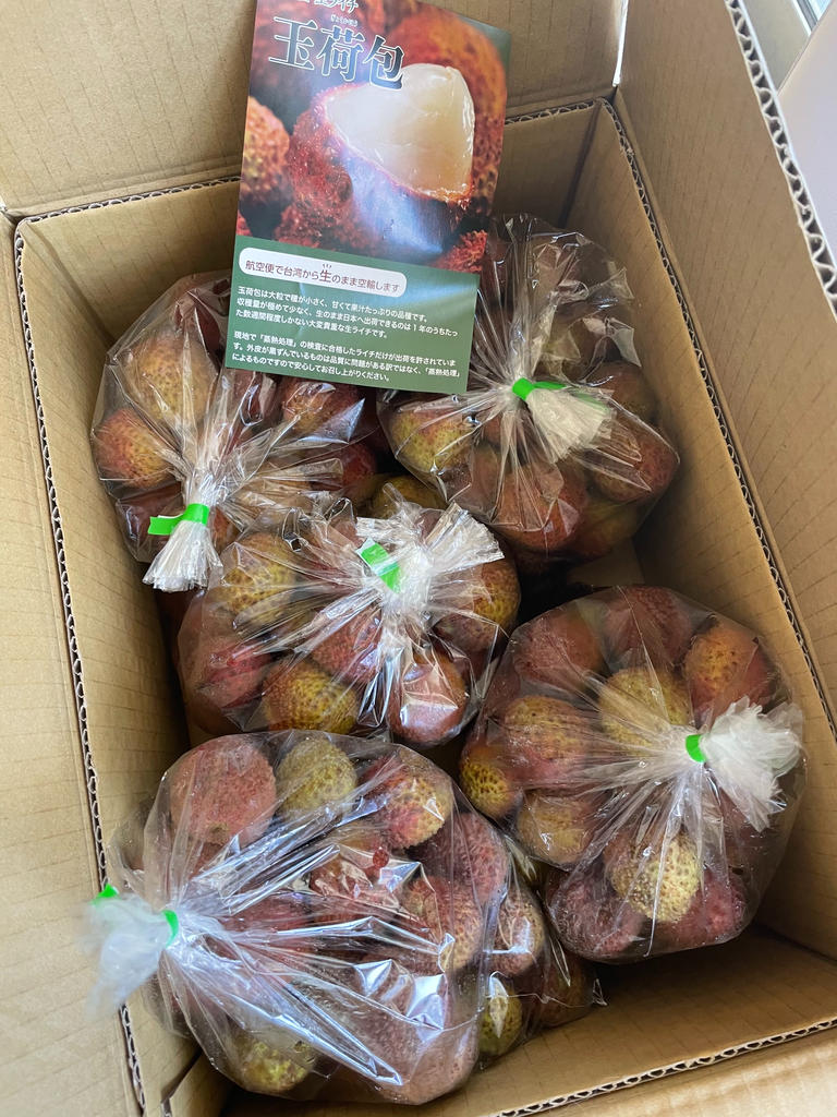 生ライチ『玉荷包（ぎょっかほう）』台湾産 レイシ 茘枝 約5kg（200