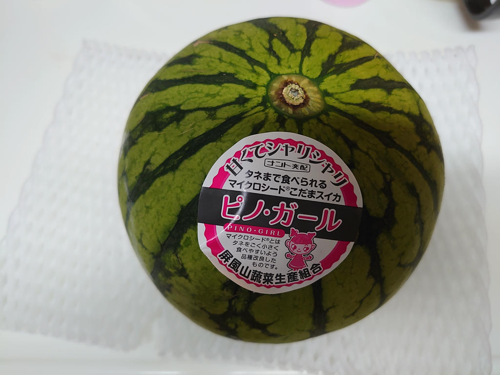 ３玉・東京都・madakoba・ピノガール Amazon.co.jp: ITANSE 小玉スイカ ピノ・ガール【野菜苗 3号 自