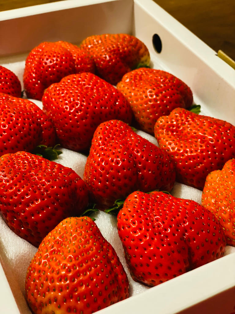いちご ⑩✖︎2 竹内農園 LEDいちご『とくしまいちご（品種 さちのか）』徳島県産 2